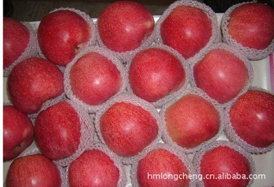 供應嘎啦蘋果 品質(zhì)優(yōu)良，產(chǎn)地直供