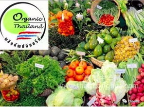 阿披拉迪 推動(dòng)有機(jī)農(nóng)產(chǎn)品走出國(guó)門，讓泰國(guó)土特產(chǎn)香飄世界